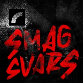 Smagsvars